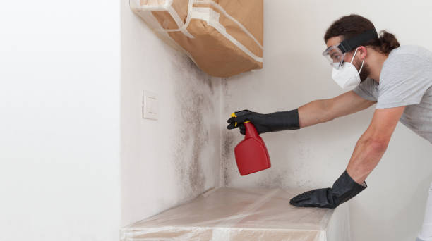 Professional Mold Remediation technician working in Onemo, VA