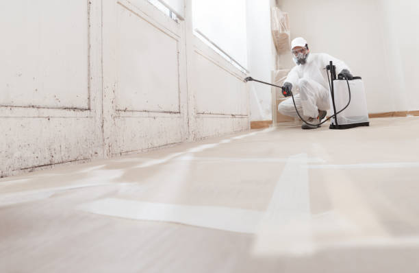 24/7 Emergency Mold Remediation experts in Onemo, VA